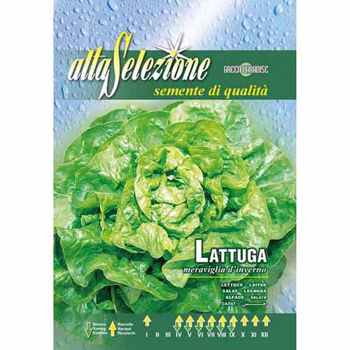 Saláta Meraviglia d'Inverno kép 1 termék 87172