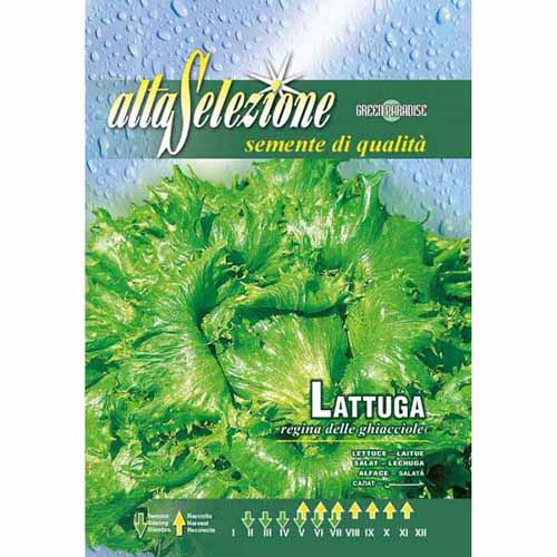 Saláta Regina delle ghiacciole kép 1 termék 96396