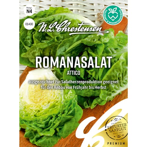 Saláta római Attico kép 1 termék 86092