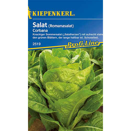Saláta római Corbana kép 1 termék 86516