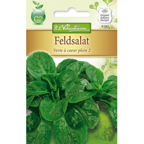 Saláta Verte a couer plein 2 kép 1 termék 78766
