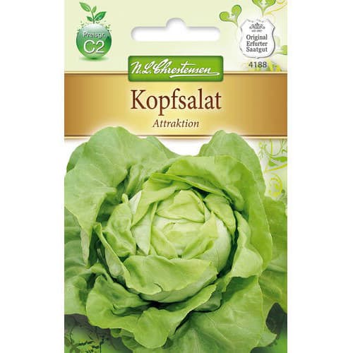 Saláta zöld Attraktion kép 1 termék 78768