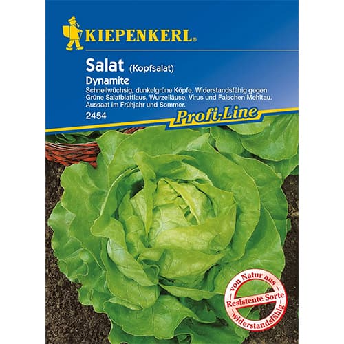 Saláta zöld Dynamite kép 1 termék 86461