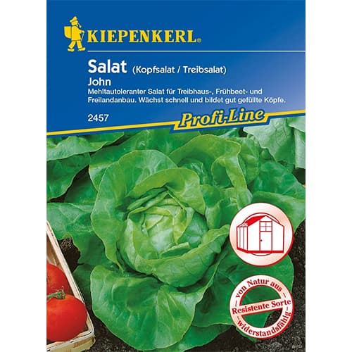 Saláta zöld John termék fotó 1 Saláta zöld John kép 1 termék 96626