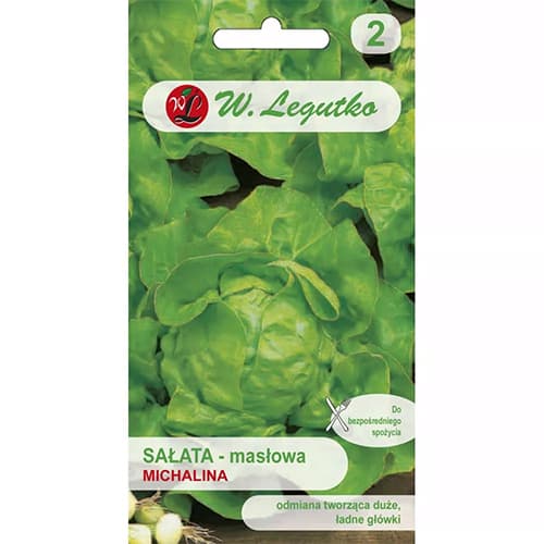 Saláta zöld Michalina kép 1 termék 86901