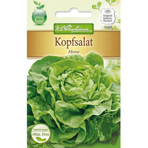 Saláta zöld Mona kép 1 termék 78771
