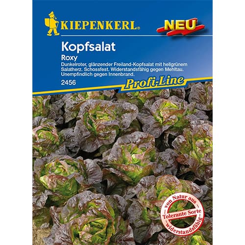 Saláta Roxy kép 1 termék 96627