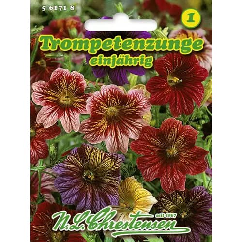 Salpiglossis Superbissima, színkeverék kép 1 termék 96445