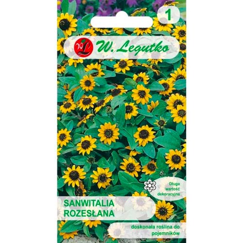 Sanvitaliát Legutko kép 1 termék 50118