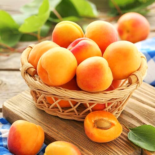 Sárgabarack Diamond, С2 kép 1 termék 4277