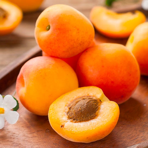 Sárgabarack South Sea, С2 kép 1 termék 1626