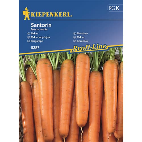 Sárgarépa Santorin F1 kép 1 termék 87789