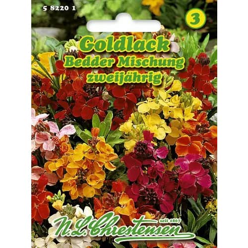 Sárgaviola kétéves, színkeverék kép 1 termék 96410