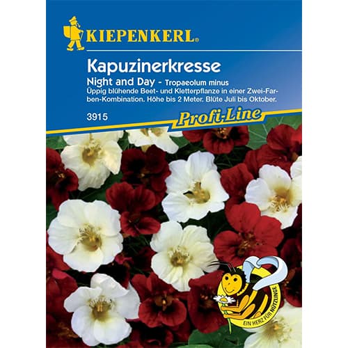 Sarkantyúvirág Night & Day kép 1 termék 86275