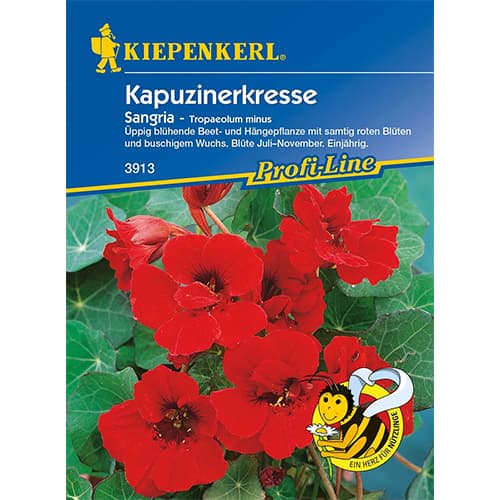 Sarkantyúvirág Sangria kép 1 termék 96547