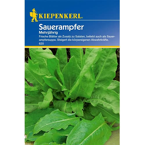 Sóska évelő kép 1 termék 77474