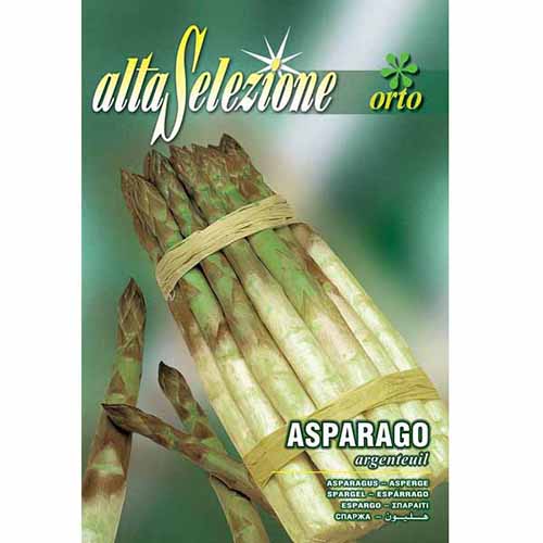 Spárga Argenteuil kép 1 termék 96398