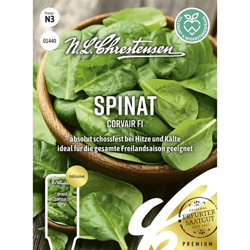 Spenót Corvair F1 termék fotó 1 Spenót Corvair F1 kép 1 termék 96497