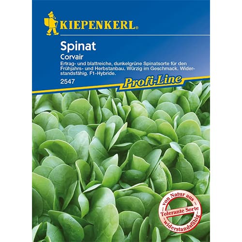 Spenót Corvair F1 kép 1 termék 86533