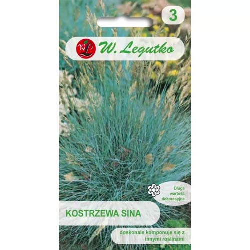 Сsenkesz ezüst-kék Legutko kép 1 termék 78568