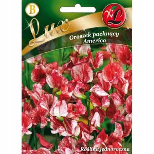 Szagos bükköny (Lathyrus odoratus) America kép 1 termék 86746