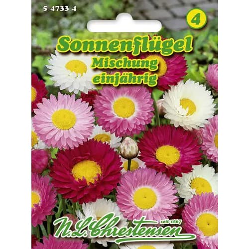 Szalmarózsa Sun Wing, színkeverék kép 1 termék 96427