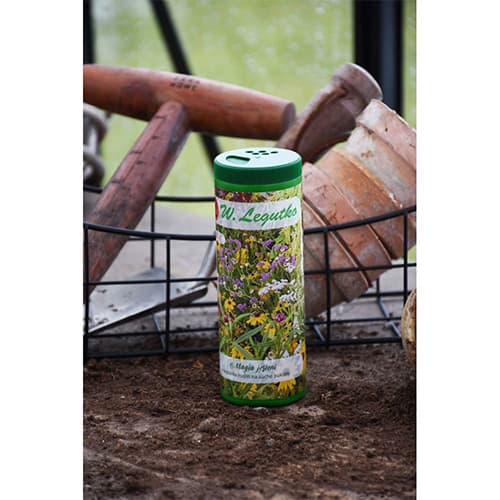 Szalmavirág Őszi varázslat, színkeverék kép 1 termék 96801