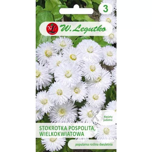 Százszorszép Ave fehér Legutko kép 1 termék 50120