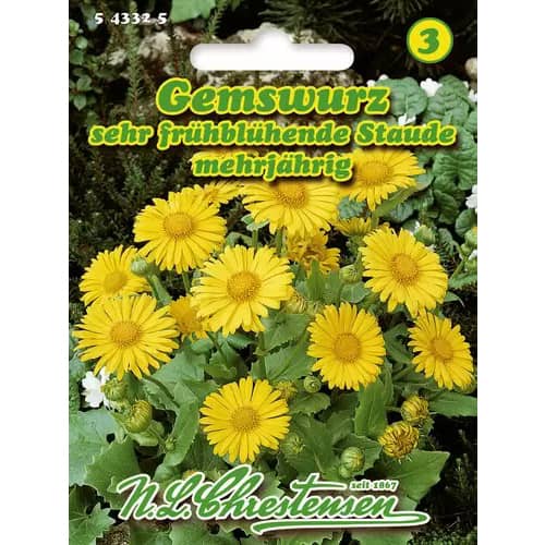 Százszorszép évelő keleti kép 1 termék 96415