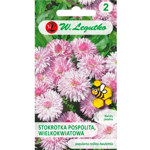 Százszorszép Maria rózsaszín Legutko kép 1 termék 50121