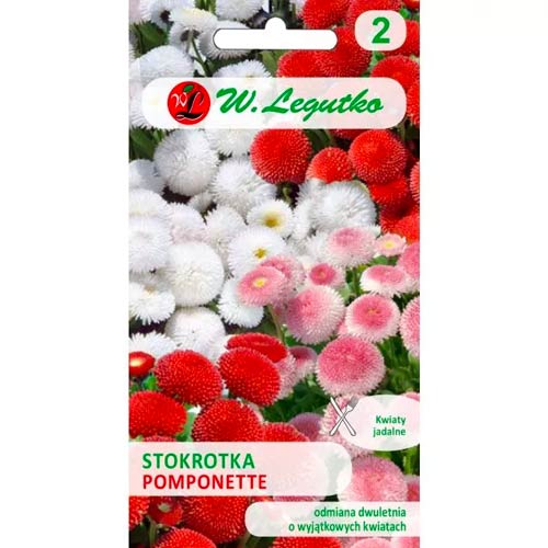 Százszorszép Pomponette, színkeverék Legutko kép 1 termék 69631