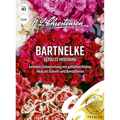 Szegfű évelő török, színkeverék termék fotó 1 Szegfű évelő török, színkeverék kép 1 termék 86122