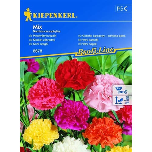 Szegfű kerti, színkeverék kép 1 termék 96527