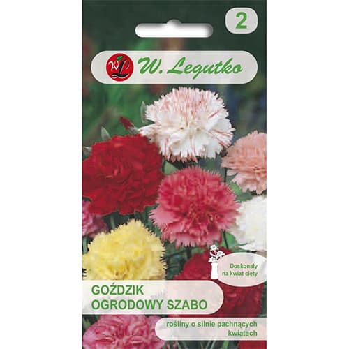 Szegfű kerti Szabo, színkeverék termék fotó 1 Szegfű kerti Szabo, színkeverék kép 1 termék 69593