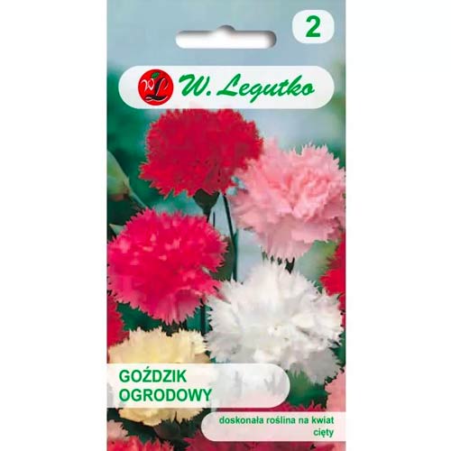 Szegfű kerti, színkeverék Legutko kép 1 termék 50101