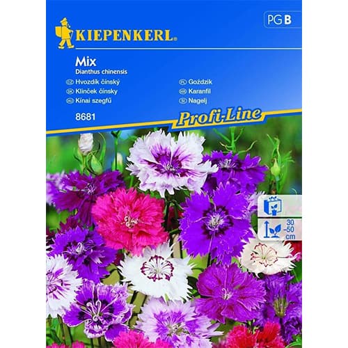 Szegfű, színkeverék kép 1 termék 96562