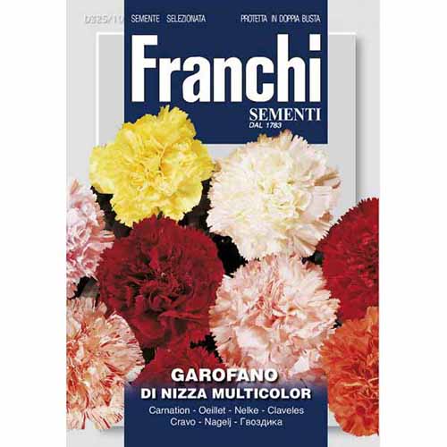 Szegfű Nisaí, mix termék fotó 1 Szegfű Nisaí, mix kép 1 termék 87317