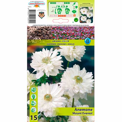 Szellőrózsa Mount Everest kép 1 termék 76166