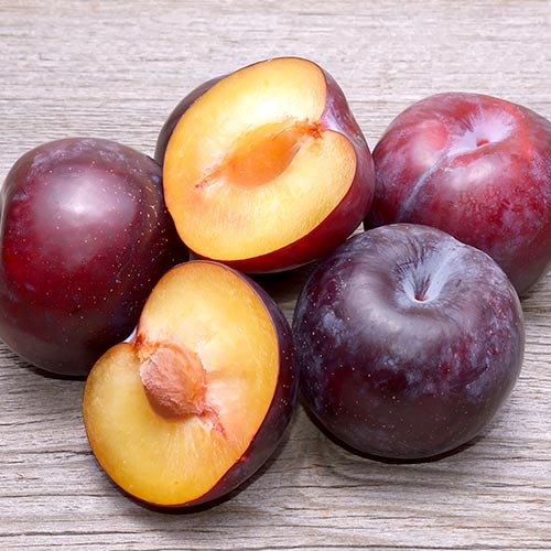 Szilva Angeleno termék fotó 1 Szilva Angeleno kép 1 termék 4308