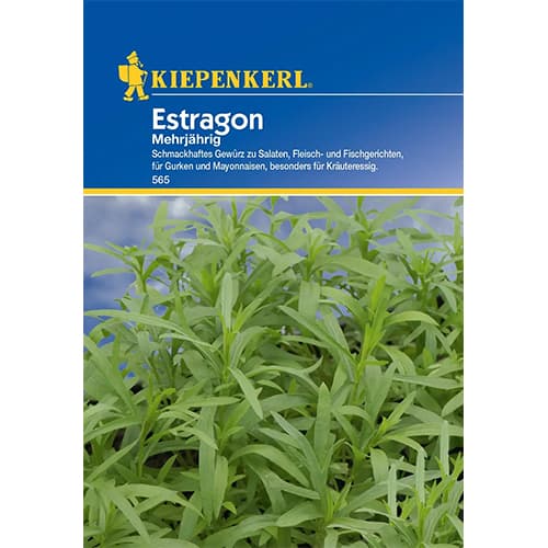 Tárkony évelő kép 1 termék 77498