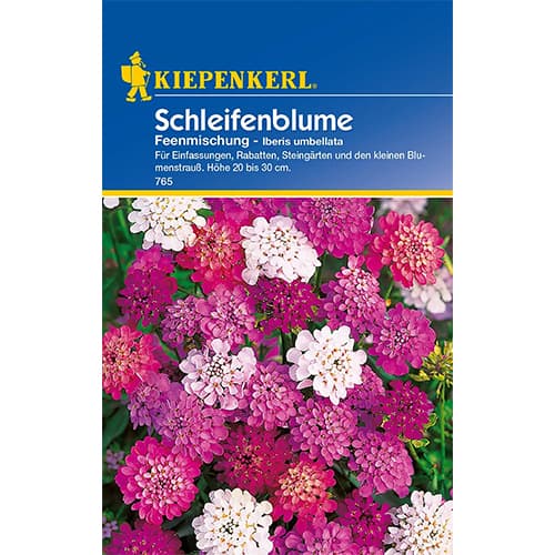 Tatárvirág törpe, színkeverék kép 1 termék 77419