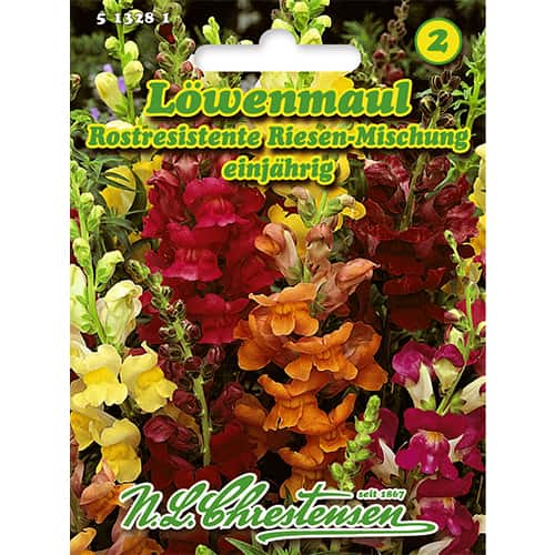 Tátika gigant, színkeverék kép 1 termék 86118