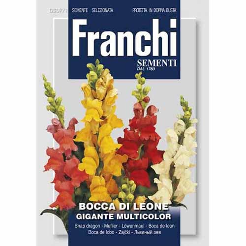 Tátika óriás, mix kép 1 termék 87123