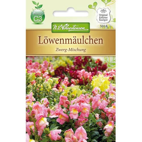 Tátika törpe, színkeverék kép 1 termék 78889