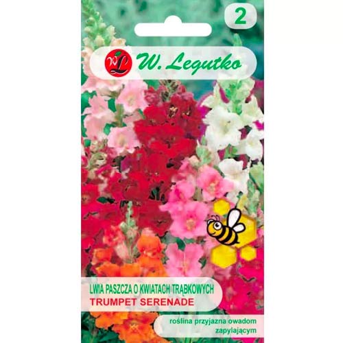 Tátika Trumpet Serenade, színkeverék Legutko kép 1 termék 78574