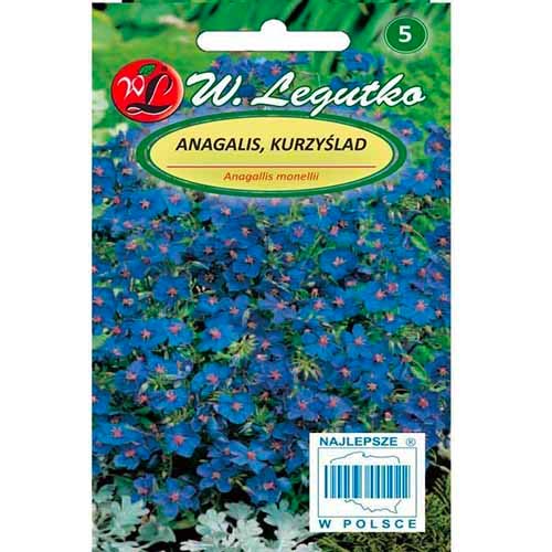 Tikszem (Anagallis) kék Legutko kép 1 termék 96764