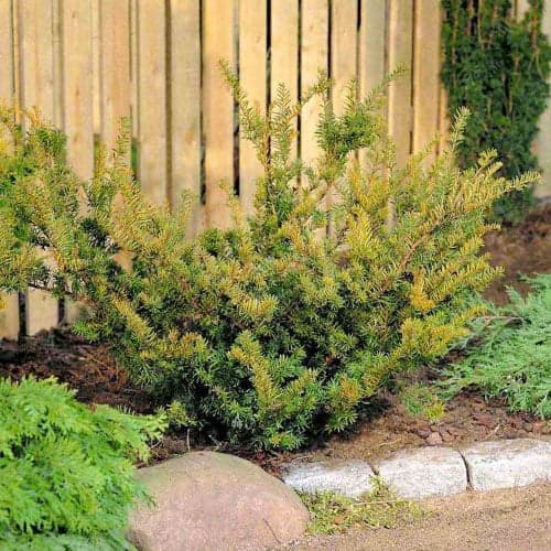 Tiszafa Farmen kép 1 termék 9690