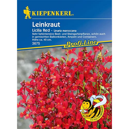 Marokkói Toadflax Licilia Red kép 1 termék 96557