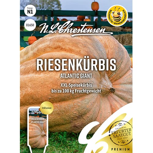 Tök Atlantic Giant termék fotó 1 Tök Atlantic Giant kép 1 termék 87848