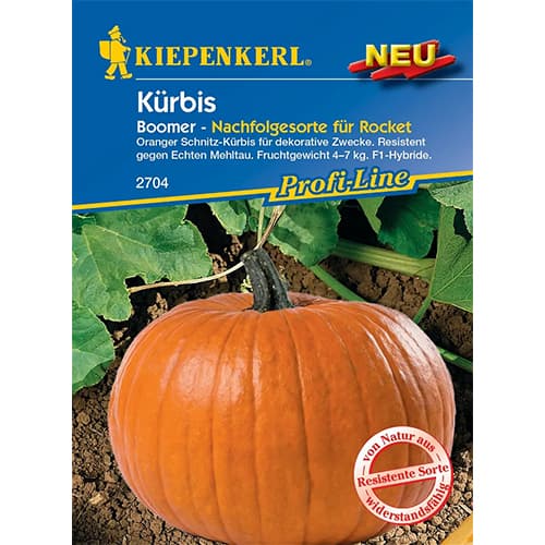 Tök Boomer F1 kép 1 termék 87786